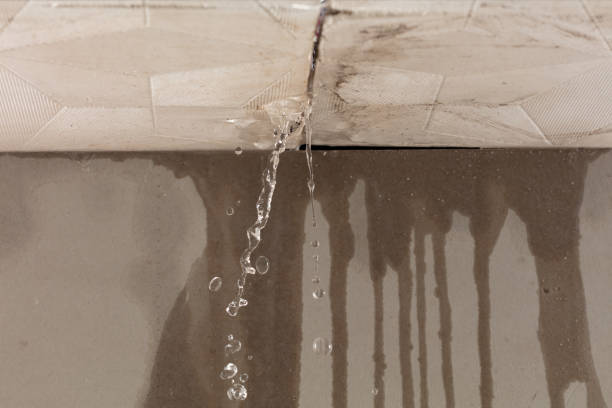 Professional Burst Pipe Cleanup technician working in Eudora, KS